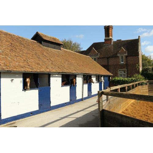 Quality Equestrian Yard Groundsman/Maintenance/General Handyman
