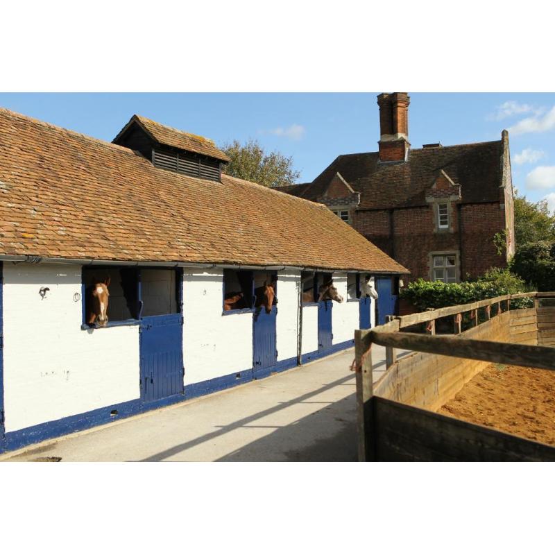 Quality Equestrian Yard Groundsman/Maintenance/General Handyman