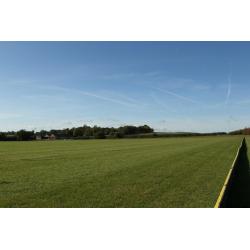 Quality Equestrian Yard Groundsman/Maintenance/General Handyman