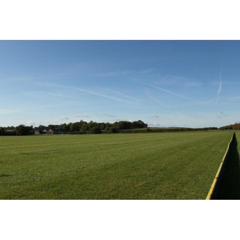 Quality Equestrian Yard Groundsman/Maintenance/General Handyman
