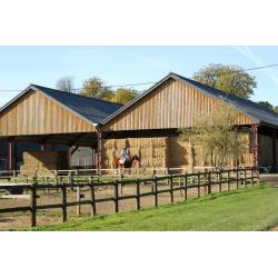 Quality Equestrian Yard Groundsman/Maintenance/General Handyman