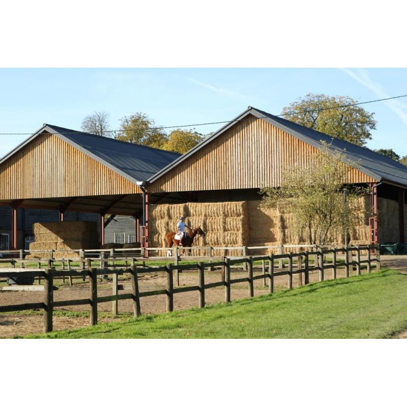 Quality Equestrian Yard Groundsman/Maintenance/General Handyman