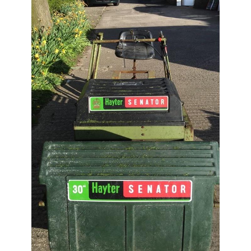 Hayter Senator 30"