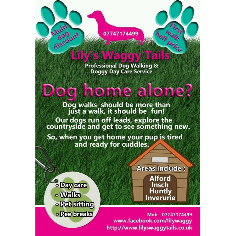 Doggy Day Care/Dog walker