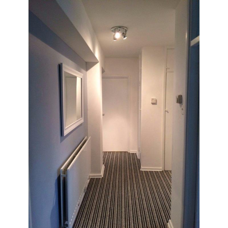STOCKWELL DOUBLE ROOM AVAILABLE IN A COSY FLAT ZONE 2