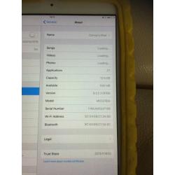 iPad mini