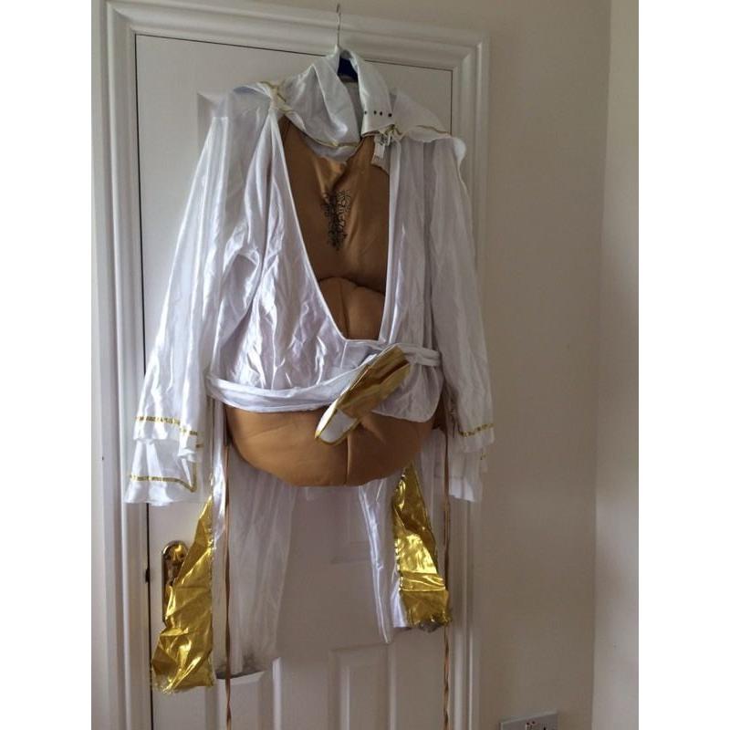 Fat Elvis Fancy Dress costume