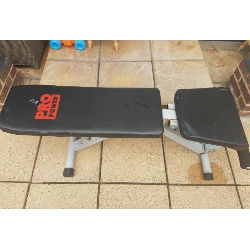 PRO power workout bench