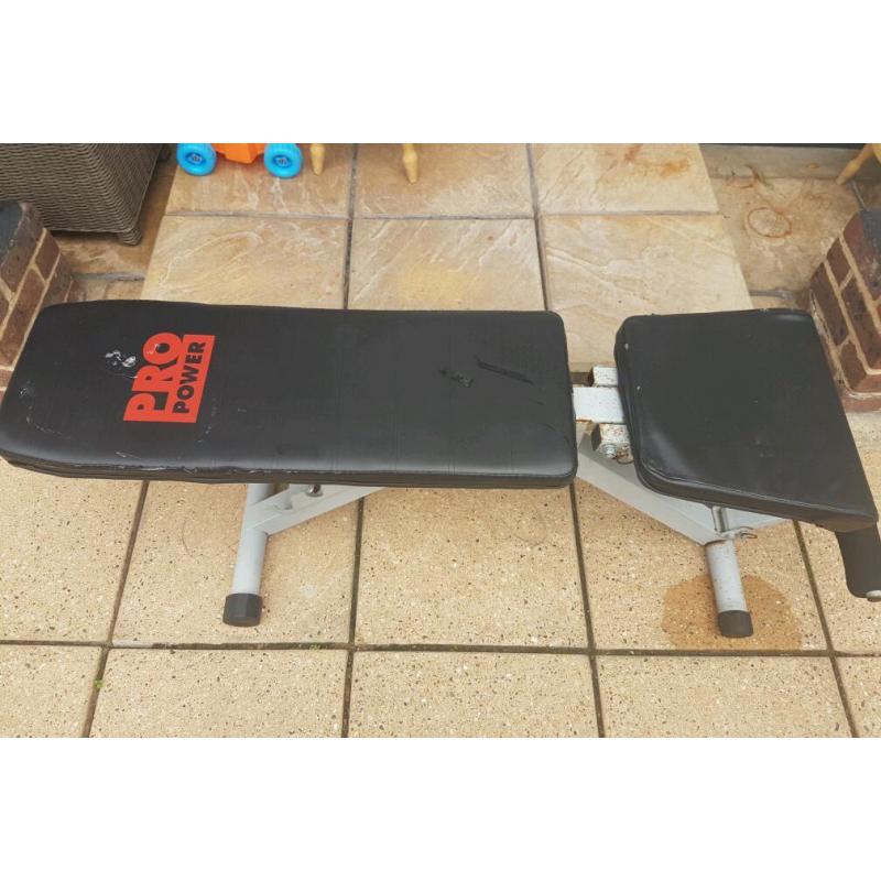 PRO power workout bench