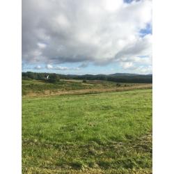Stunning house site with paddock