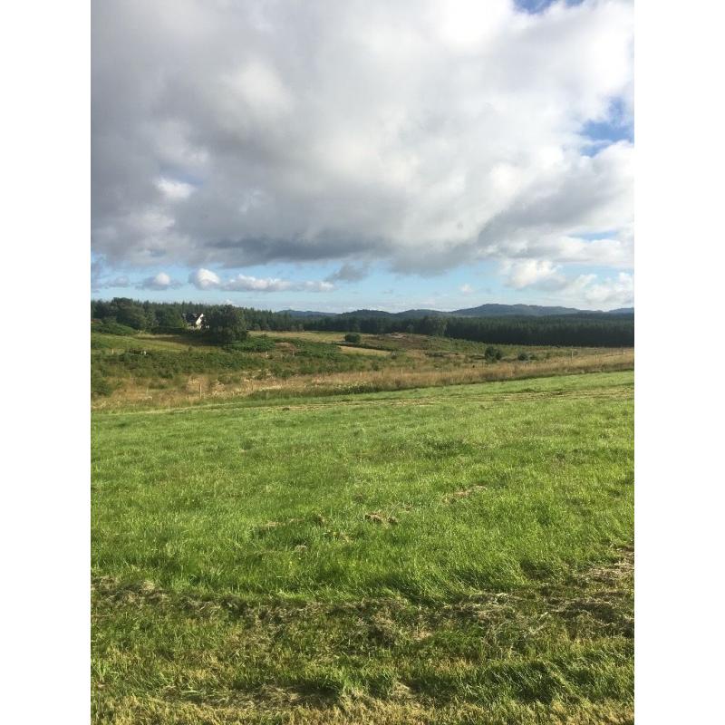 Stunning house site with paddock