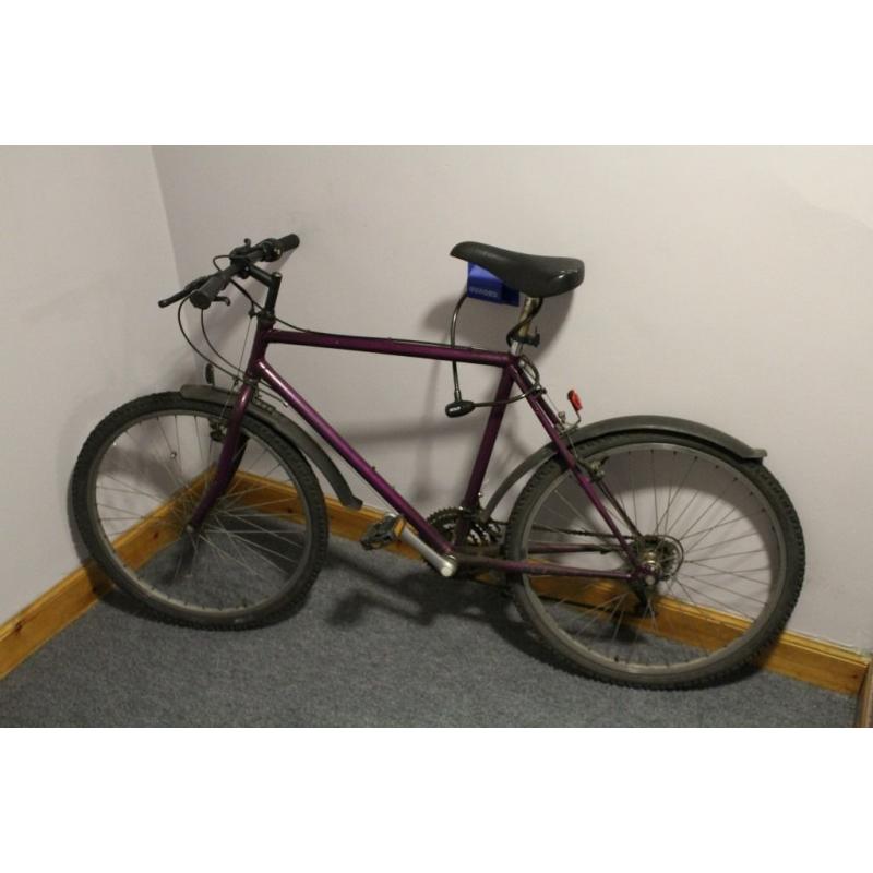 Mountain Bike for Sale including Lock, Lights and Mudguards