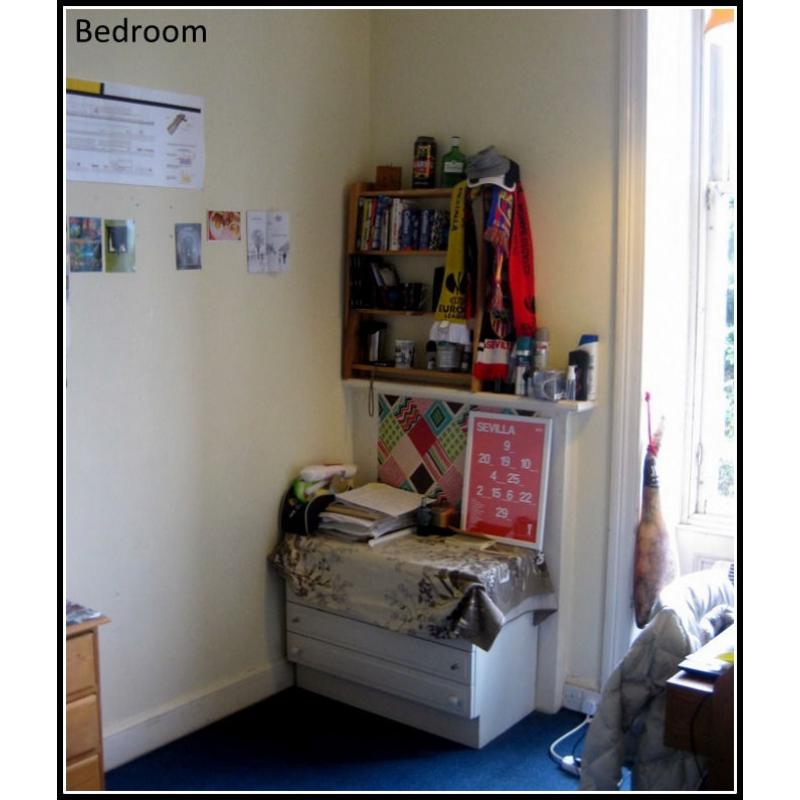Sunny single room available in well located non-smoking 3 bedroom Morningside flat