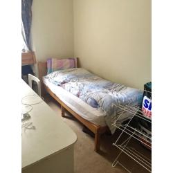 Single room in two bedroom flat available from September