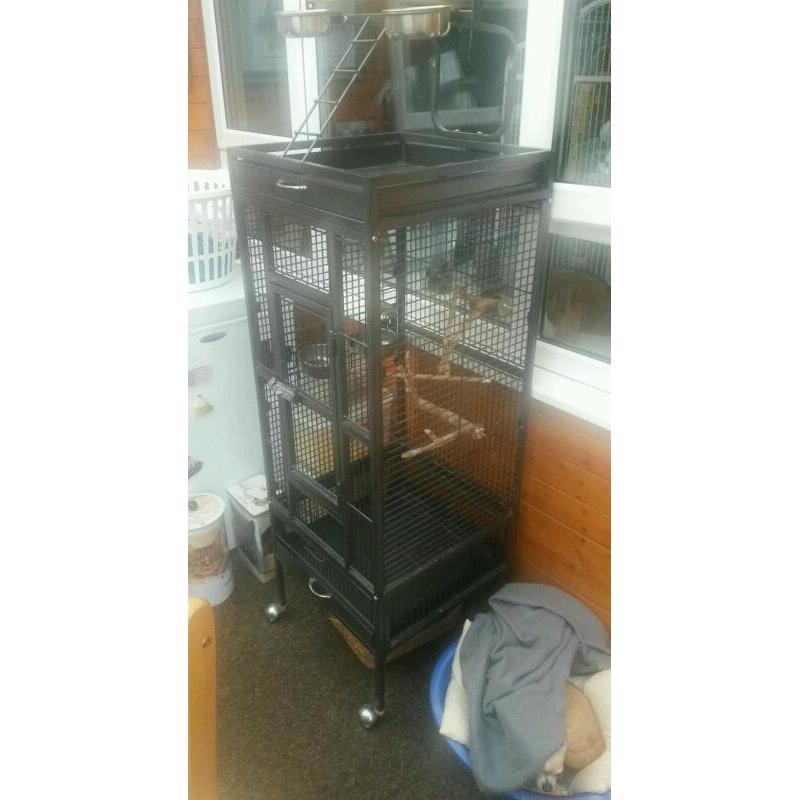 Bird cage