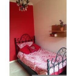 Comfortable single room to rent in 3-bed house in Caversham