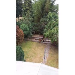Purley, large ground floor double room to let