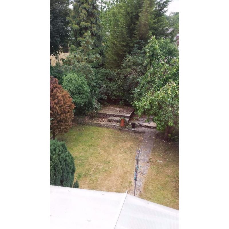 Purley, large ground floor double room to let