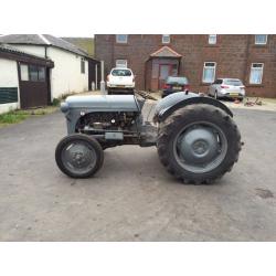 Tef 20 grey Fergie