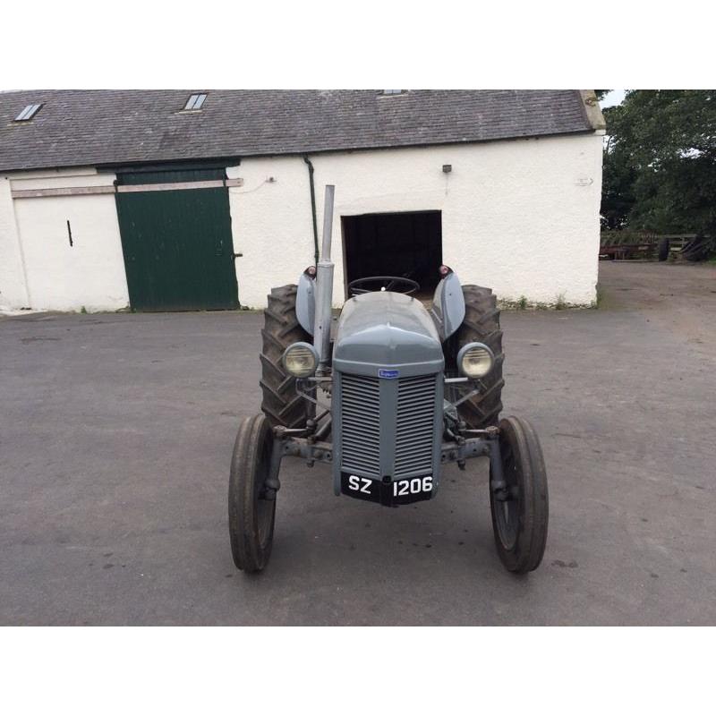 Tef 20 grey Fergie