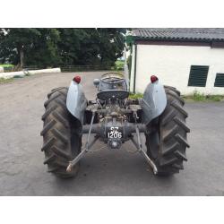 Tef 20 grey Fergie