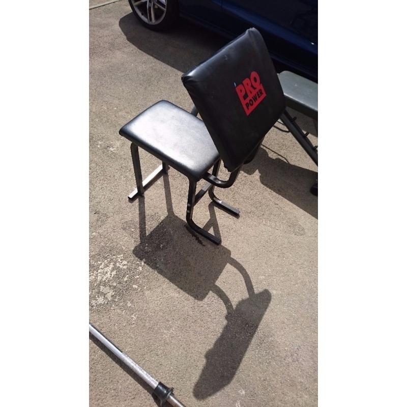 Pro power preacher curl bench