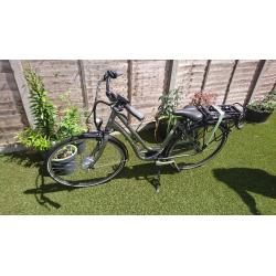 D-Cycle Delight 3 Electric Bike