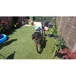 D-Cycle Delight 3 Electric Bike