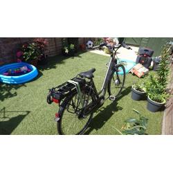 D-Cycle Delight 3 Electric Bike