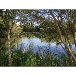 LAKESIDE STATIC CARAVAN ISLE OF WIGHT 12MONTH FINANCE AVAILABLE NEAR THORNESS BAY & LOWER HYDE