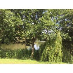 LAKESIDE STATIC CARAVAN ISLE OF WIGHT 12MONTH FINANCE AVAILABLE NEAR THORNESS BAY & LOWER HYDE