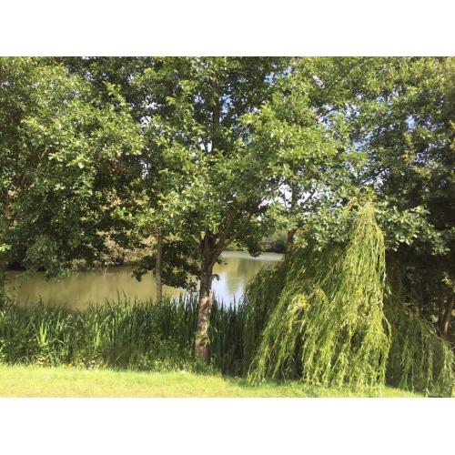LAKESIDE STATIC CARAVAN ISLE OF WIGHT 12MONTH FINANCE AVAILABLE NEAR THORNESS BAY & LOWER HYDE
