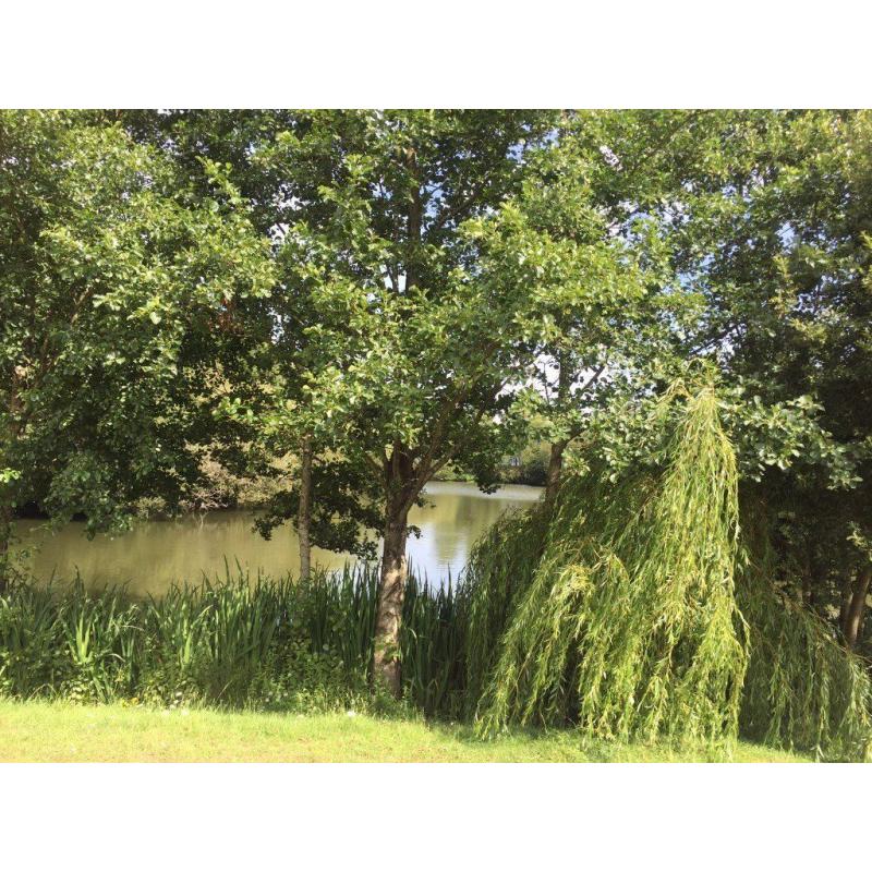 LAKESIDE STATIC CARAVAN ISLE OF WIGHT 12MONTH FINANCE AVAILABLE NEAR THORNESS BAY & LOWER HYDE