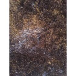 Chocolate brown large Livingroom rug