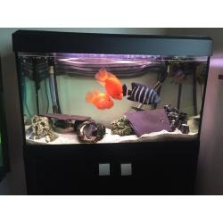 Fish tank with cabinet and external filter