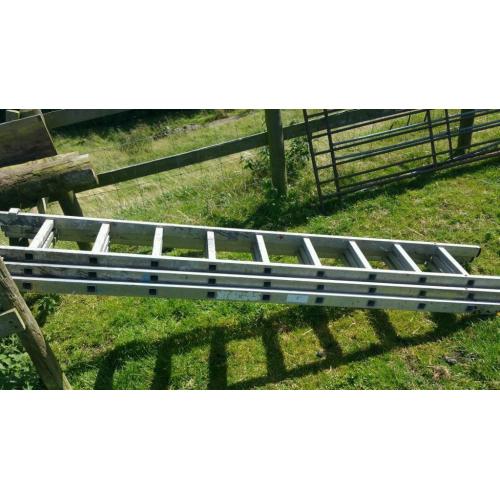 3 8ft ladders