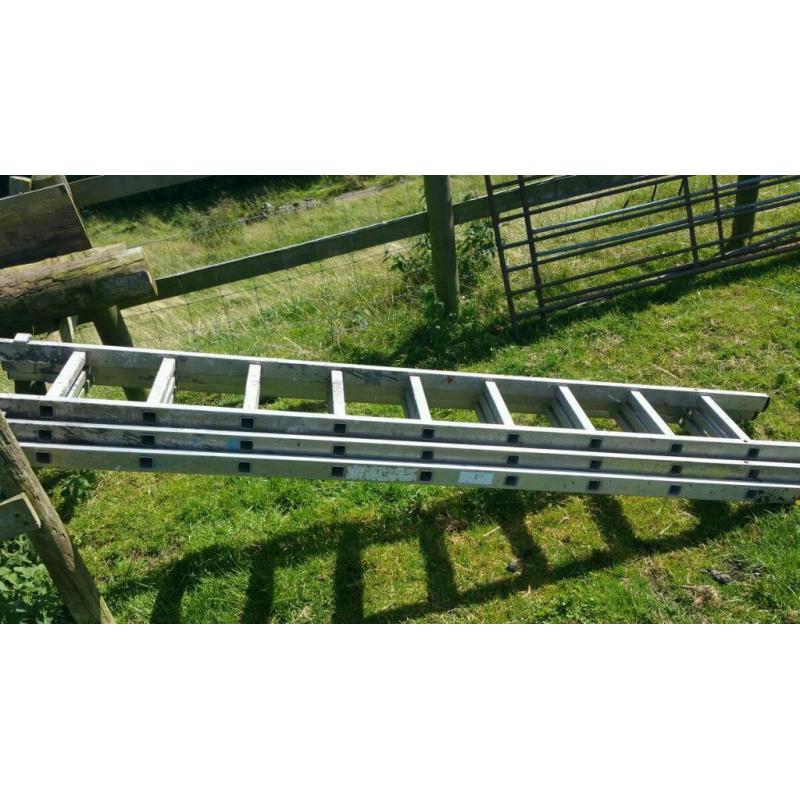 3 8ft ladders
