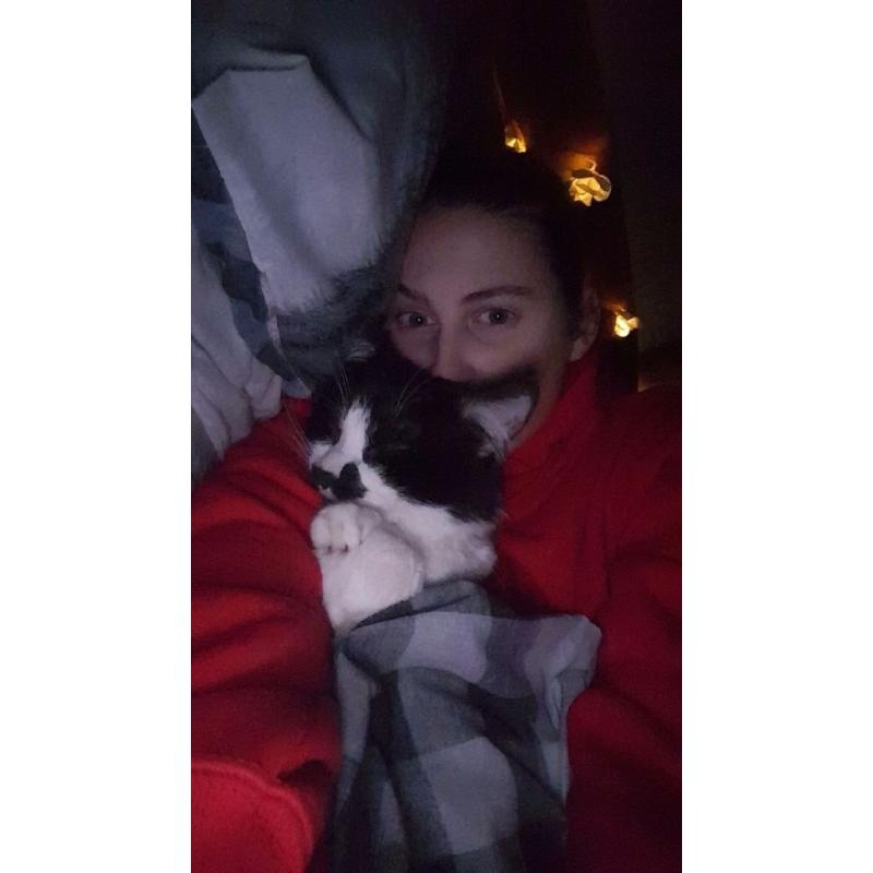 MISSING CAT