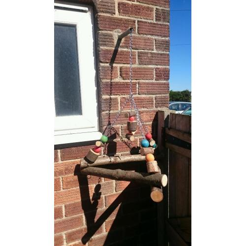Parrot wooden play swing