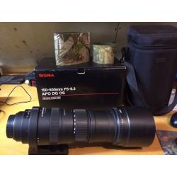 Sigma 150-500 canon fit