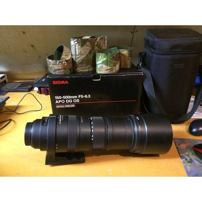 Sigma 150-500 canon fit