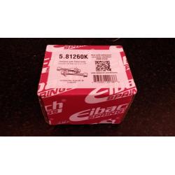 Eibach Camber Adjustment Bolts for Clio 172/182