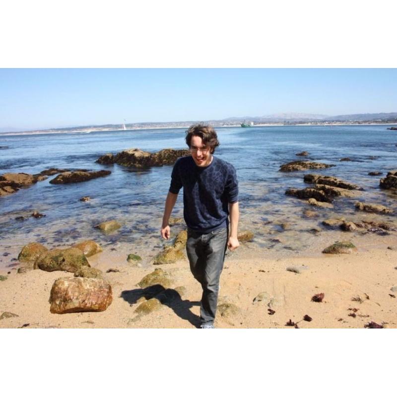Experienced English, History and Art History Tutor