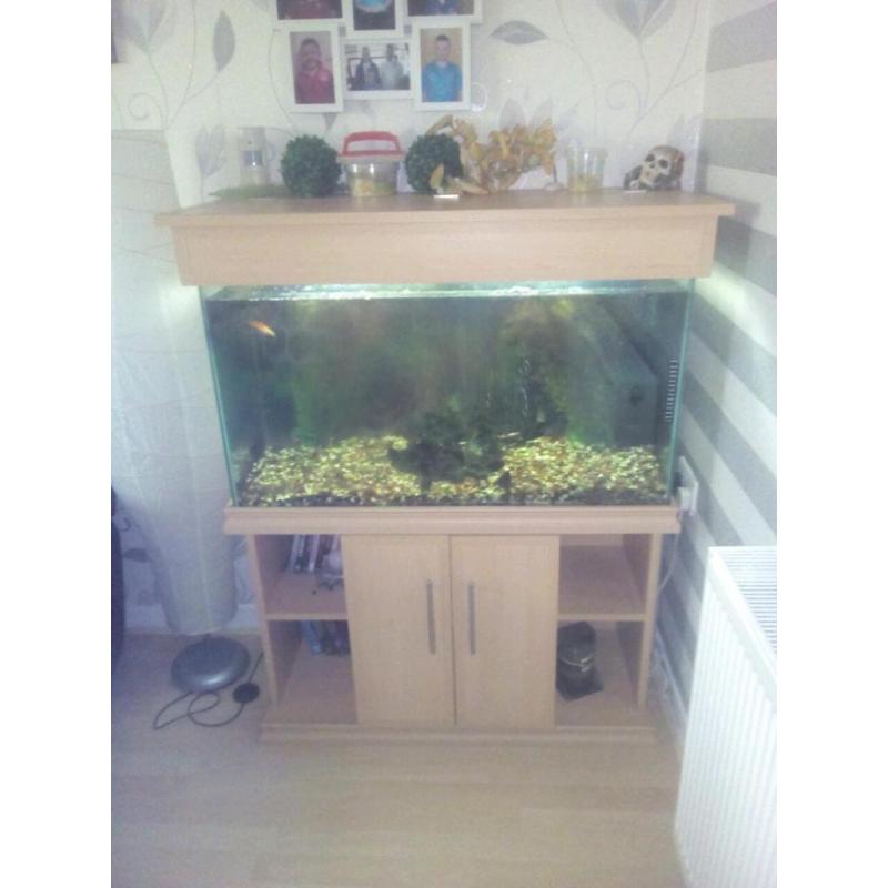 Aquarium