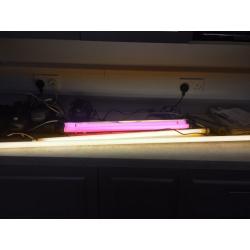 Arcadia fish tank lights