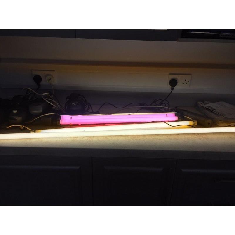 Arcadia fish tank lights