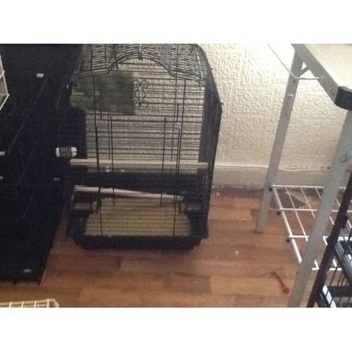 Bird cage