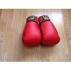 BCS Boxing Gloves