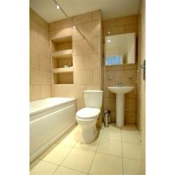 Room available for Single Professional or Student in Backton Plaistow Canning Town Prince Regent