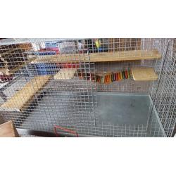 Degu cage and accessories